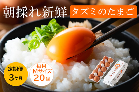 【累計600万個突破！】★TVで紹介されました★【定期便】タズミの卵Ｍサイズ（20個×3か月）015AB02N.／こだわり卵 市川町産 兵庫県産 たまご たまごかけご飯 玉子 生卵 鶏卵 タマゴ 卵焼き TKG 3か月 定期便