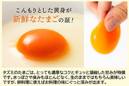 【累計600万個突破！】★TVで紹介されました★【定期便】タズミの卵Ｍサイズ（20個×3か月）015AB02N.／こだわり卵 市川町産 兵庫県産 たまご たまごかけご飯 玉子 生卵 鶏卵 タマゴ 卵焼き TKG 3か月 定期便