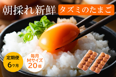 ★TVで紹介されました★【定期便】タズミの卵Ｍサイズ（20個×6か月）030AB02N.／こだわり卵 市川町産 兵庫県産 たまご たまごかけご飯 玉子 生卵 鶏卵 タマゴ 卵焼き TKG 6か月 定期便