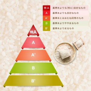 兵庫県 北産 こしひかり（精米5kg）006KB01N.／お米 米 ご飯 コシヒカリ  こしひかり 国産 