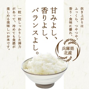 兵庫県 北産 こしひかり（精米5kg）006KB01N.／お米 米 ご飯 コシヒカリ  こしひかり 国産 