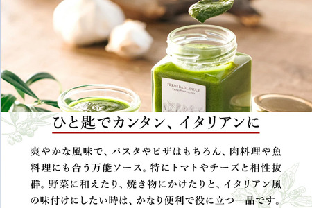 バジルソース（100ｍｌ）　003HS02N.／バジルペースト フレッシュ バジル 調味料 国産 スパイス ハーブ 料理 簡単 パスタ ピザ サラダ エキストラバージン オリーブオイル 使用 兵庫県 市川町