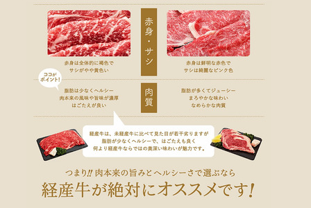 【累計2万パック突破！】但馬牛経産牛「焼肉用」（肩・モモ）1kg(500g×2)　020AA11N.／焼肉セット 黒毛和牛 いちかわ精肉店 経産牛 牛肉 国産 bbq バーベキュー 焼肉セット FN-Limited-WE
