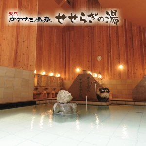 温泉入湯券「天然かさがた温泉せせらぎの湯」11枚綴り　027DA01N.