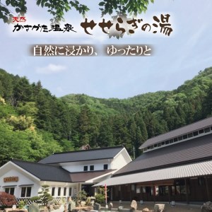 温泉入湯券「天然かさがた温泉せせらぎの湯」11枚綴り　027DA01N.