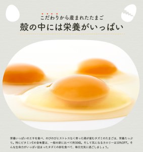 060AB01N.タズミの卵Ｌサイズ（30個×12ヶ月）