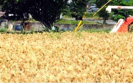 ふくさきのもちむぎ「福美」精麦1kg×2袋 2kg eco Package エコパッケージ