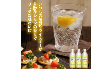 炭酸水 定期便 隔月 6回 レモン 500ml×24本 ソーダ 瀬戸内産 レモンエキス