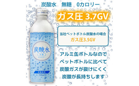 炭酸水 定期便 毎月 12回 500ml×24本 ソーダ