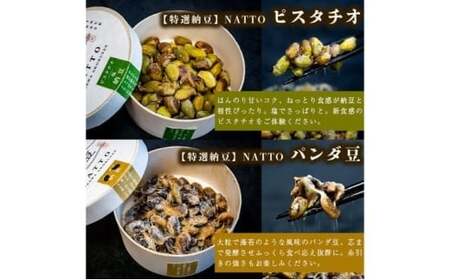 納豆 NATTO 高級国産納豆6種食べ比べセット 6個入り なっとう 丹波産 黒みつ パンダ豆 もち麦 枝豆 ピスタチオ 有機大豆
