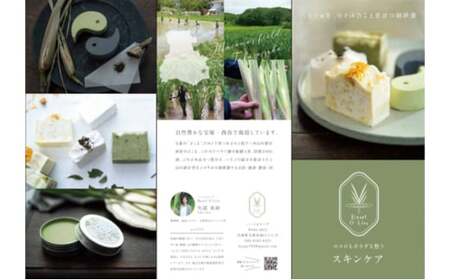 マコモ 真菰コスメセット まこも 真菰せっけん 真菰クリーム