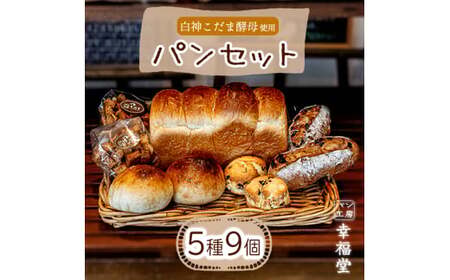 天然酵母のパンセット 5種9個 国産小麦粉 米粉 天然酵母 食パン 菓子パン