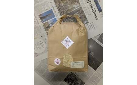 美味しさピカイチ!成分ピカイチ!もち麦は『福美』に決まり!!徳用4.3kg 