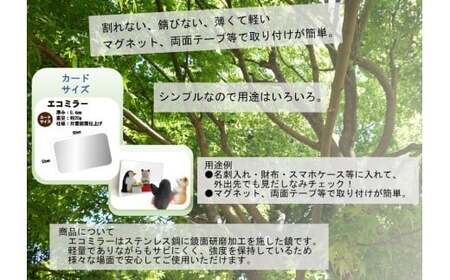 Eco Mirror ふくちゃん