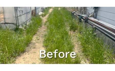 グラスシェーバー 手動式草刈り機