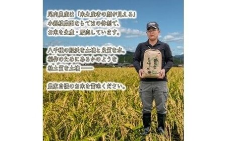 【精米】【 最短 翌日発送 】令和7年産 ヒノヒカリ 八千種米 お米 5kg ごはん 兵庫県産 世界かんがい施設遺産登録『西光寺野疏水路』