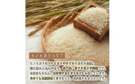 【精米】【 最短 翌日発送 】令和7年産 ヒノヒカリ 八千種米 お米 5kg ごはん 兵庫県産 世界かんがい施設遺産登録『西光寺野疏水路』