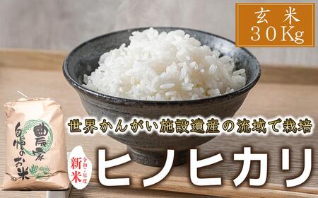 【玄米】令和7年度産 ヒノヒカリ 八千種米 お米 30kg ごはん 兵庫県産 世界かんがい施設遺産登録『西光寺野疏水路』