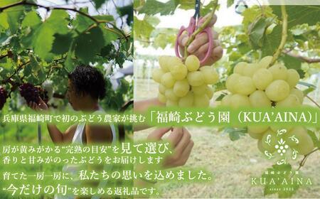 【兵庫県福崎産】「福崎から福咲を」 朝採れ ご家庭用 シャインマスカット ２kg 詰め合わせセット 福崎ぶどう園 ８月下旬から順次発送 ぶどう 数量限定