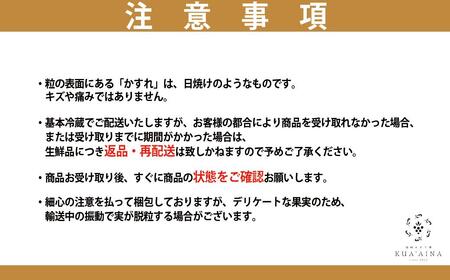 【兵庫県福崎産】「福崎から福咲を」 朝採れ ご家庭用 シャインマスカット ２kg 詰め合わせセット 福崎ぶどう園 ８月下旬から順次発送 ぶどう 数量限定