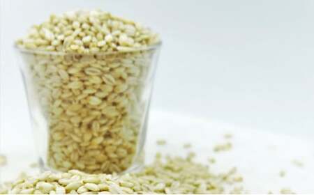 ハイパワーもち麦フクミファイバー(精麦1kg入り4袋セット)