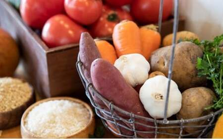 ひとつごはん 鹿肉オリジナルブレンド ペットフード 愛犬用 鹿肉 ジビエ肉 野菜 厳選素材 無添加 ドッグフード