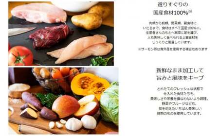 ひとつごはん 鹿肉オリジナルブレンド ペットフード 愛犬用 鹿肉 ジビエ肉 野菜 厳選素材 無添加 ドッグフード