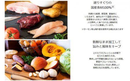 ひとつごはん 鶏肉オリジナルブレンド ペットフード 愛犬用 鶏肉 野菜 無添加 厳選素材 ドッグフード