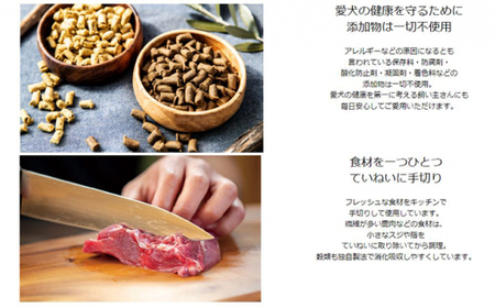 ひとつごはん 鶏肉オリジナルブレンド ペットフード 愛犬用 鶏肉 野菜 無添加 厳選素材 ドッグフード