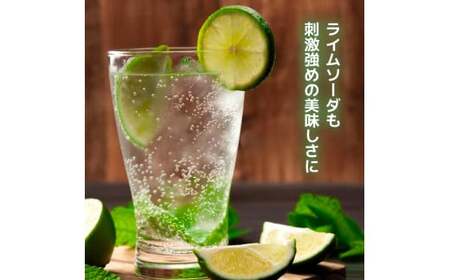 【最速10日以内発送】 炭酸水 缶 500ml×24本 ボトル缶 