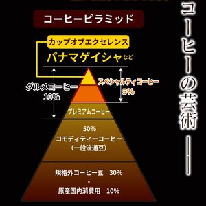 スペシャリティコーヒー詰め合わせセット（パナマゲイシャ100g＋エチオピアゲイシャ200g）（豆）