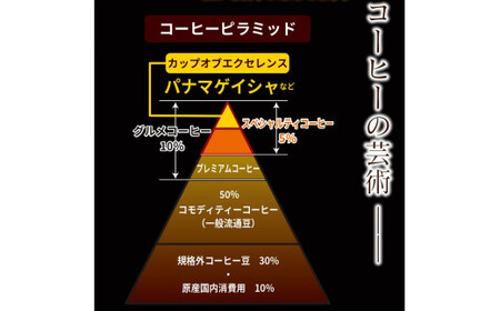 スペシャリティコーヒー詰め合わせセット（パナマゲイシャ100g＋エチオピアゲイシャ200g）【粉】