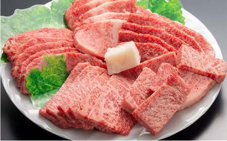 定期便 但馬牛 焼肉 5種 食べ比べ 計500g 3ヶ月連続お届け BBQ バーベキュー アウトドア
