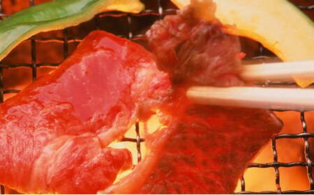 定期便 但馬牛 焼肉 5種 食べ比べ 計500g 3ヶ月連続お届け BBQ バーベキュー アウトドア