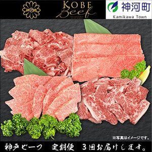 【発送月固定定期便】兵庫県の厳しい基準をクリアした「神戸ビーフ」を少しずつ小分けにしてお届け!全3回【配送不可地域:離島】【4003317】