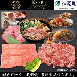 【発送月固定定期便】兵庫県の厳しい基準をクリアした「神戸ビーフ」を少しずつ小分けにしてお届け!全3回【配送不可地域:離島】【4003317】