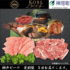 【発送月固定定期便】兵庫県の厳しい基準をクリアした「神戸ビーフ」を少しずつ小分けにしてお届け!全3回【配送不可地域:離島】【4003317】