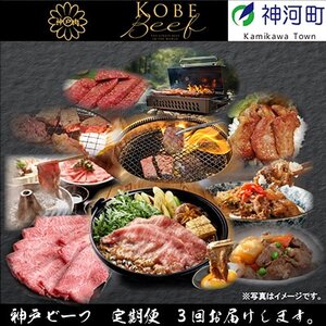 【発送月固定定期便】兵庫県の厳しい基準をクリアした「神戸ビーフ」を少しずつ小分けにしてお届け!全3回【配送不可地域:離島】【4003317】