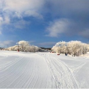 峰山高原リゾートホワイトピーク＞ スキー場1日リフト券 2枚【1029968】 | 兵庫県神河町 | ふるさと納税サイト「ふるなび」