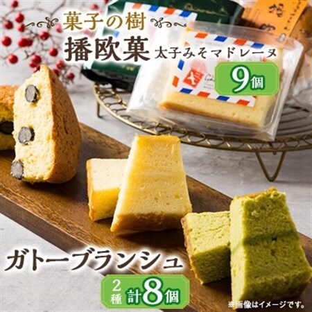 播欧菓～太子みそマドレーヌ～とガトーブランジュ詰め合わせ【配送不可地域：離島】【1494499】 4,000円