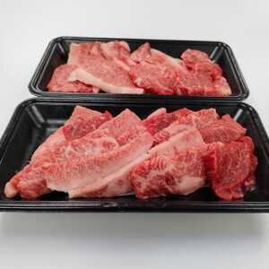 【神戸ビーフ】訳アリ　焼肉用切り落とし　小分け250g×2【バラ、肩ロース、モモ、ロース等】【配送不可地域：離島】【1556399】
