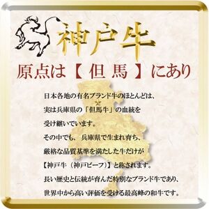 訳あり 神戸牛 切り落とし肉 400g TSS1 【2026年4月より順次発送】【配送不可地域：離島】【1682619】