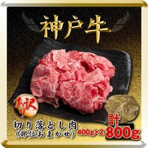訳あり 神戸牛 切り落とし肉 400g×2 計800g TSS1-2 【2026年4月より順次発送】【配送不可地域：離島】【1682620】