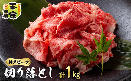 神戸ビーフ　切り落とし　500g×2　兵庫県産　国産【配送不可地域：離島】【1128466】