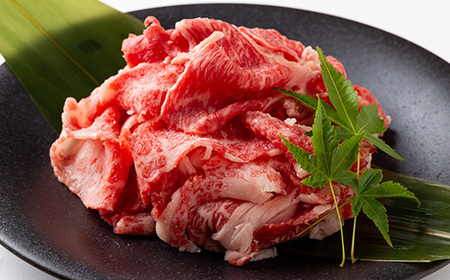 神戸ビーフ　切り落とし　500g×2　兵庫県産　国産【配送不可地域：離島】【1128466】