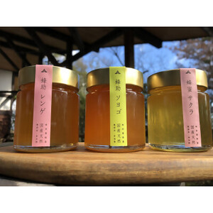【抗生物質不使用】【非加熱】蜂助の季節のはちみつセット 240g×3本 | 季節 蜂蜜 密 季節の花 セット 国産 無抗生物質 非加熱 兵庫県 上郡町