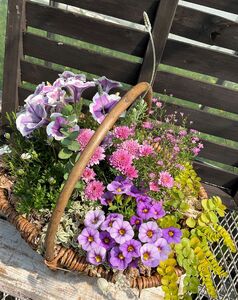 お花一杯バスケット寄せ植えLサイズ(35cm程度)季節の寄せ植え | お花 花 バスケット 季節の花 ガーデニング ガーデン 寄せ植え 苗 兵庫県 上郡町