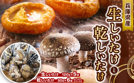 生しいたけ 120g入×5袋 ・ 乾しいたけ 30g入×6袋 ( ホール 3袋・ スライス 3袋 ) | しいたけ シイタケ 椎茸 干しいたけ セット きのこ キノコ 野菜 山菜 兵庫県 上郡町