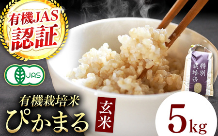 【令和7年産】『タガメの里・自然米』ぴかまる 玄米5kg 【有機JAS認証米】 | お米 こめ 米 コメ こめ ぴかまる 玄米 有機JAS認証米 兵庫県 上郡町