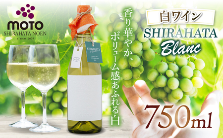 MOTO Wine Shirahata Blanc | 白ワイン お酒 辛口 シャルドネ 兵庫県 上郡町